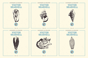 VECTOR SEASHELL HAND DRAWN BUNDLE 22, an Illustration by pawellpi (Thumbnail 4 of 10)