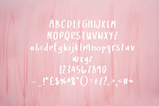 Gorgeous Handwritten Brush Font, a Font by TessShearer (Thumbnail 2 of 2)