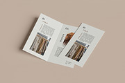 DL BiFold Brochure Mockup, an Advertising Mockup by Pikachudesign (Thumbnail 5 of 5)