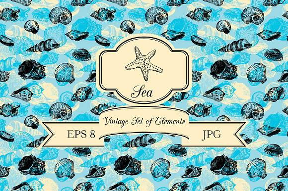 Seashells set preview 6