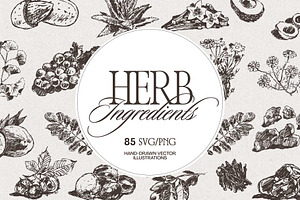 Botanical Herb Ingredients, a Healthcare Illustration by TheMountBirdStudio