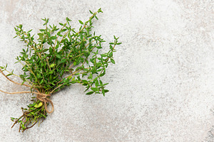 Fresh thyme bunch tied with twine on gray background for culinar, a Food & Drink Photo by Olena Rudo