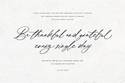 August Bloom | Elegant Script Font, a Script Font by Pink Coffie (Thumbnail 11 of 31)