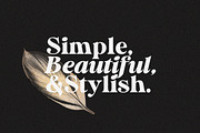 UPDATE! Duke Charming Bold Serif, a Serif Font by Letterhend Studio (Thumbnail 9 of 9)