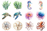 Ocean Clipart, Underwater Clipart, an Illustration by Design Market (Thumbnail 3 of 4)