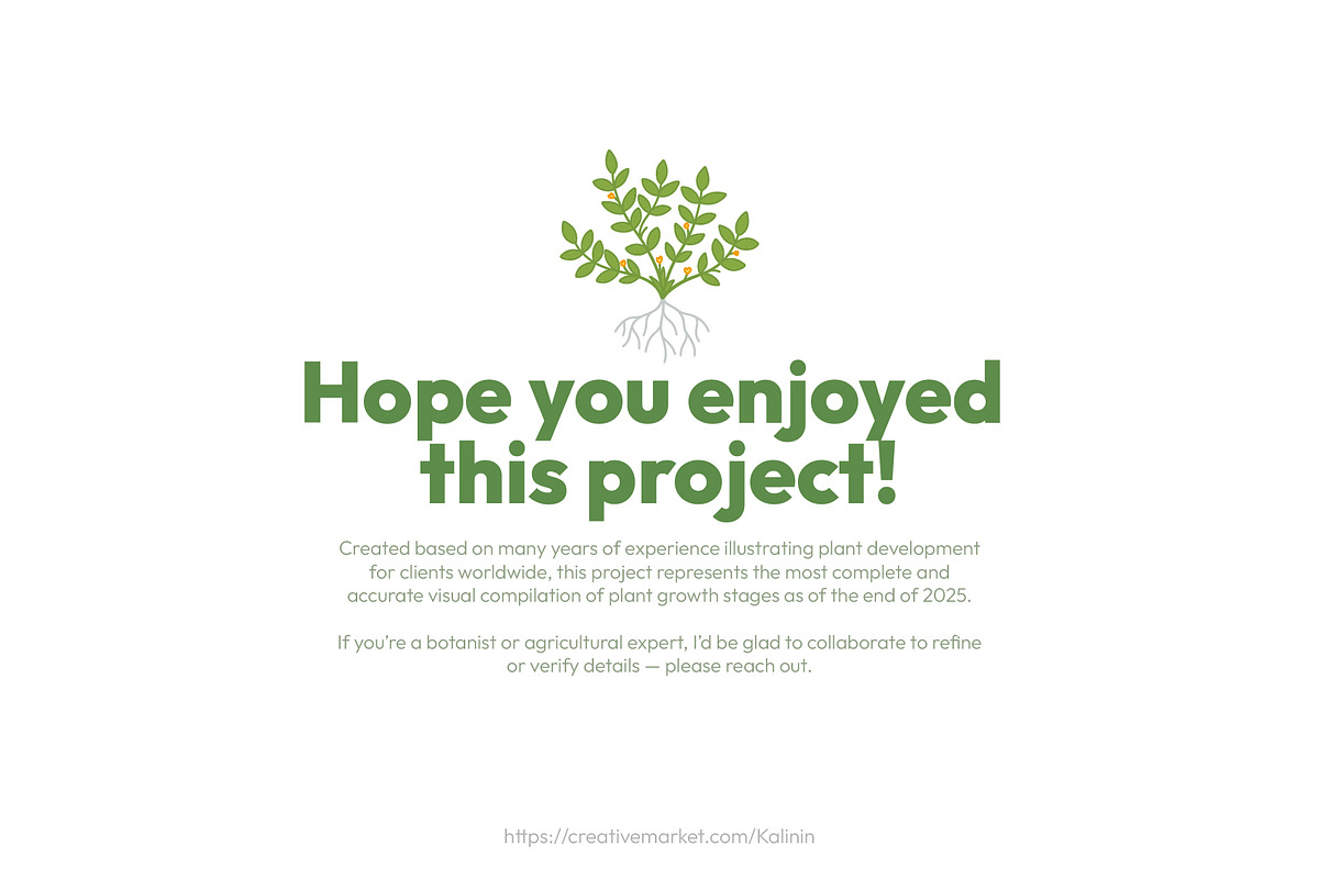 Life Cycle of Farming Plants, an Illustration by Ilia Design (Photo 7 of 7)