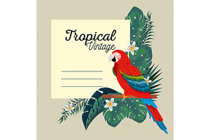 Tropical Card With Parrot And Exotic