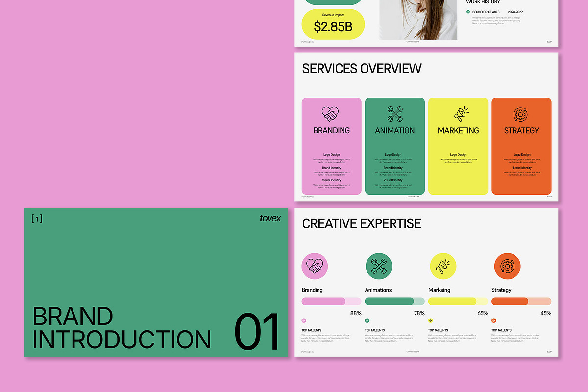 Universal Portoflio Template, a Presentation Template by Templeste (Photo 3 of 6)