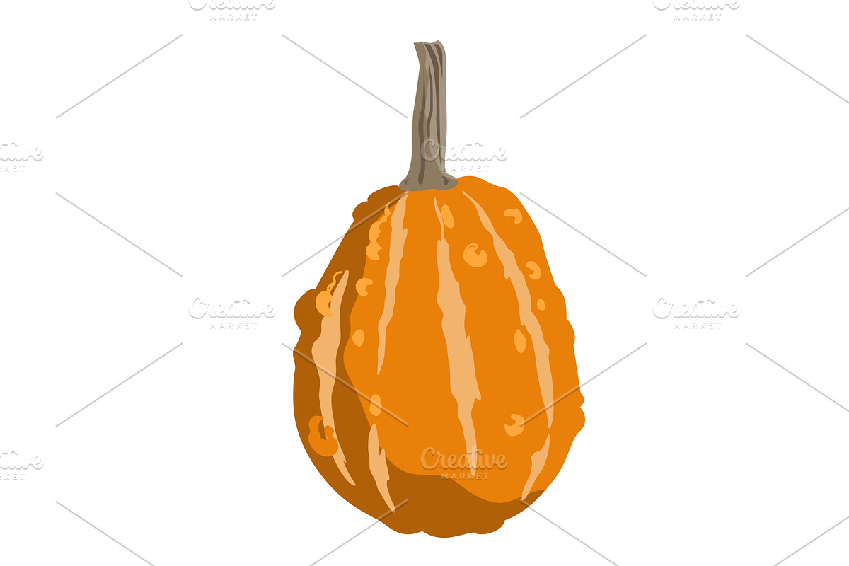 Cute small decorative pumpkin, an Object Illustration by Toltemara