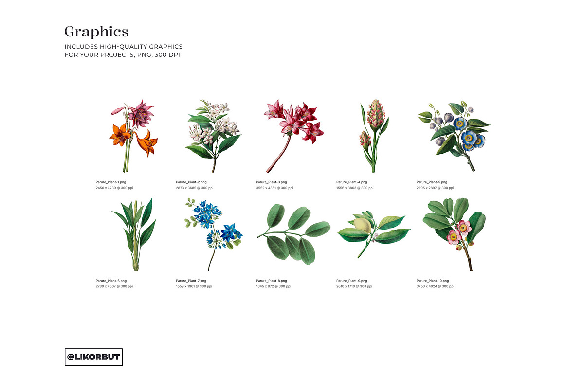 Exquisite Botanical Floral Pattern, a Pattern Graphic by likorbut (Photo 6 of 14)