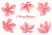 Cherry Blossoms Mini Collections, a Decorative Illustration by An Design (Thumbnail 1 of 3)