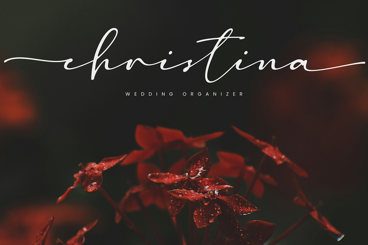Madelisse – Elegant Signature Font, a Script Font by Typoraith Co (Photo 4 of 10)