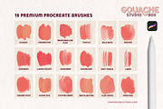 Gouache Studio Box Procreate Brushes, a Brushes & More by The Pigeon Letters (Thumbnail 2 of 10)