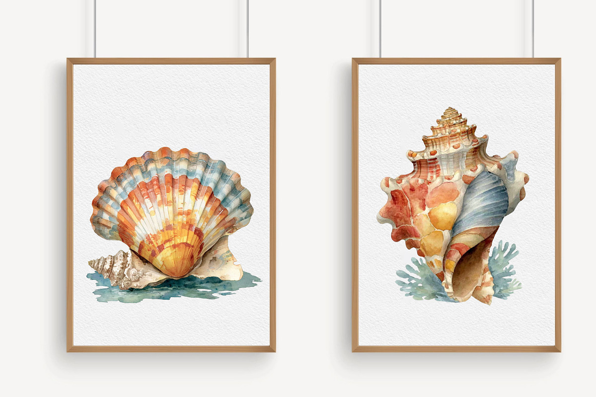 Watercolor Seashell Clipart, an Illustration by Libby Wishes (Photo 4 of 4)