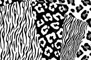 Black and White Animal Prints, a Texture Graphic by Avenie Digital (Thumbnail 3 of 4)