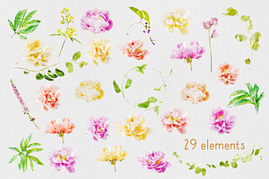 Watercolor Flowers - Peonies