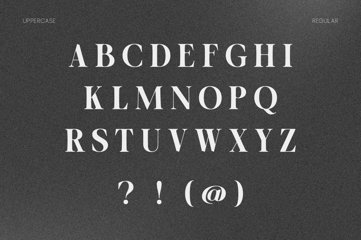 OV Cotin Serif Font Family, a Serif Font by OV Type (Photo 3 of 16)
