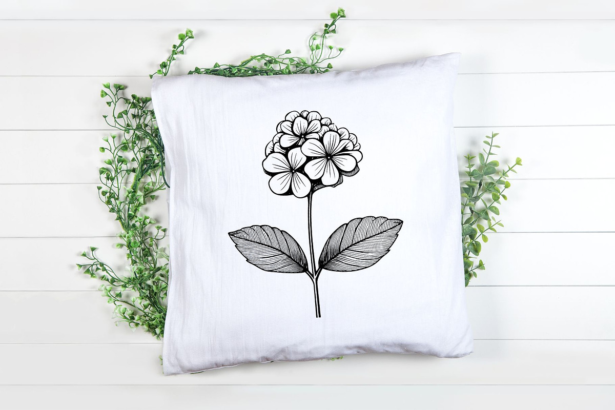 Hydrangea SVG - Flowers Clip Art, an Illustration by YouniqueArtwork (Photo 5 of 5)