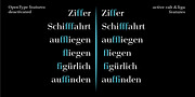 Legit Didone Head, a Serif Font by Finaltype (Thumbnail 8 of 14)