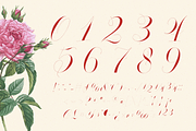 GLOWING ROMANCE — Luxury Calligraphy, a Script Font by Enxyclo Studio (Thumbnail 16 of 22)