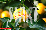 Watercolor Opentype-SVG Font, a Script Font by Ryn Pojas (Thumbnail 7 of 8)