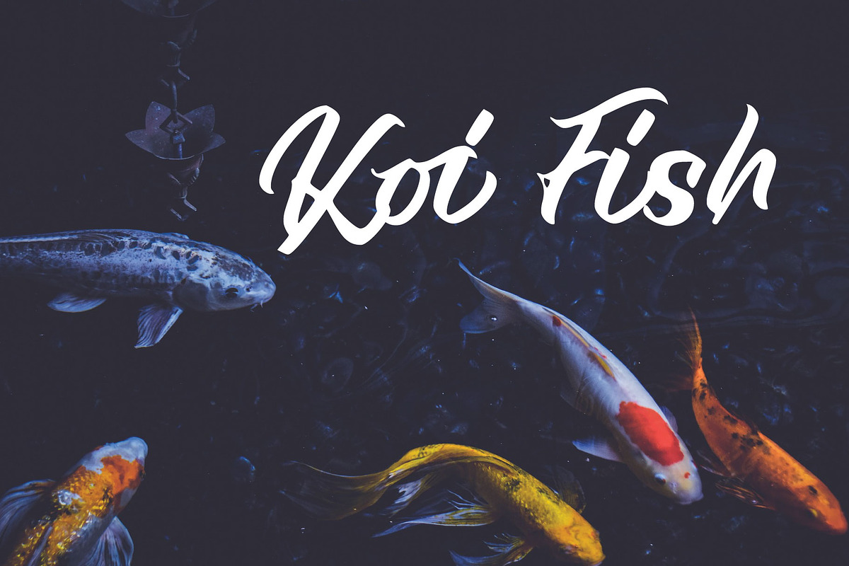 Royal Muffin, a Script Font by Gittype (Photo 9 of 14)