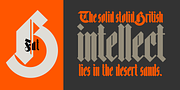 Bastard, a Blackletter Font by Barnbrook Fonts (Thumbnail 2 of 7)