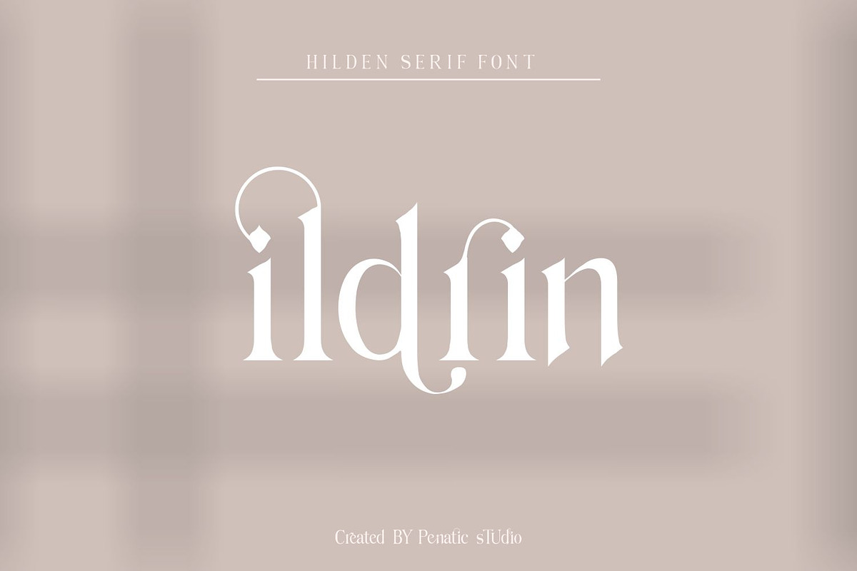 Hilden - stylish modern serif font, a Serif Font by Penatic Studio (Photo 13 of 14)