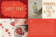 Font Bundle 50%Off-Latine & Cyrillic, a Handwritten Font by line & plane (Thumbnail 3 of 6)