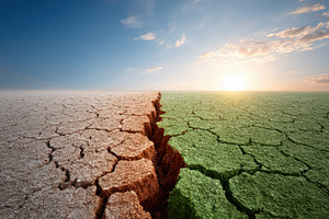 Split cracked earth and green ground at sunrise, a Nature Photo by AlyaAnd