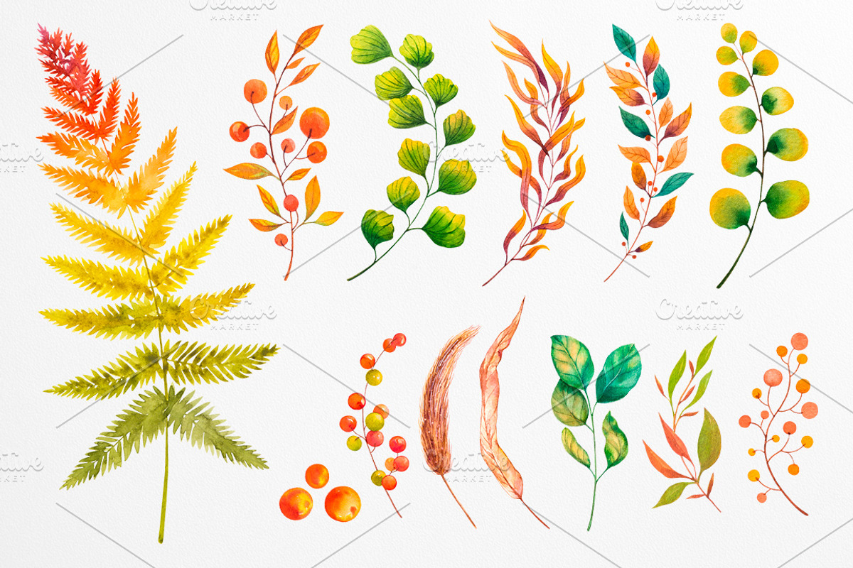 Fall collection. Watercolor., a Decorative Illustration by AlexGreenArt (Photo 5 of 11)