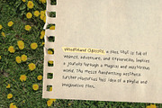 Wonderland Odyssey Crayon Messy Font, a Handwritten Font by Perplexitics (Thumbnail 4 of 6)
