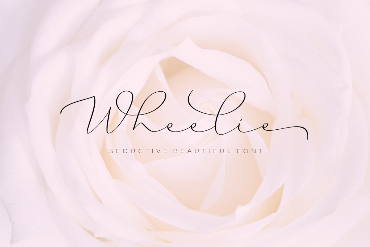 Wheelie preview 6