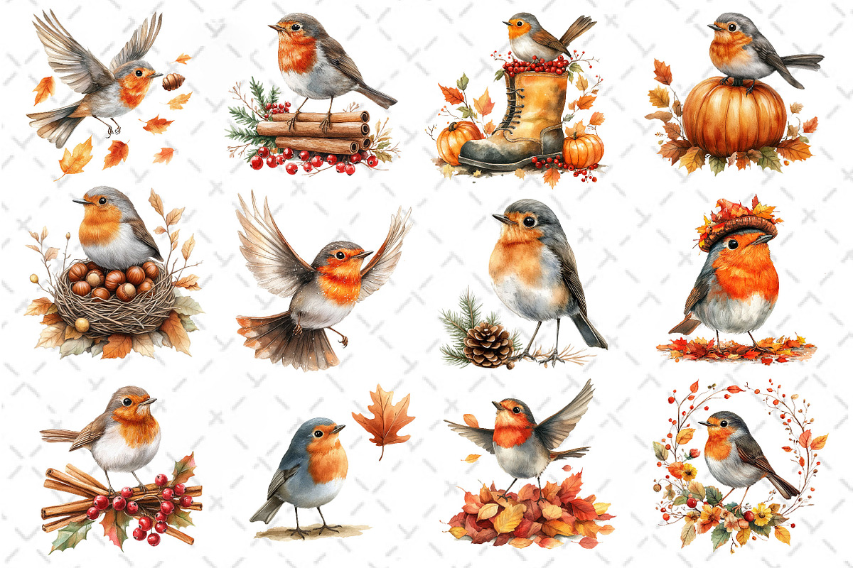 Watercolor Robin Birds Clipart, Fall, an Illustration by Dream Creation (Photo 3 of 4)