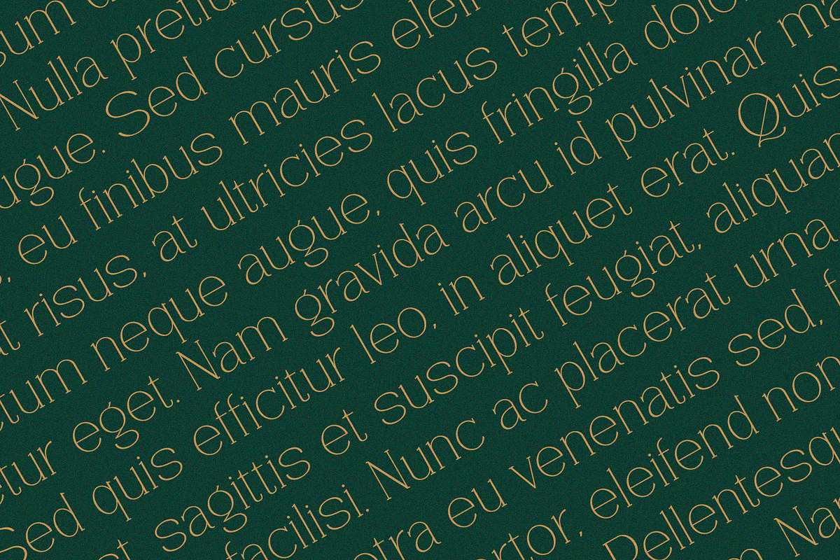 Vantique - Serif Font, a Serif Font by Alpaprana (Photo 6 of 10)