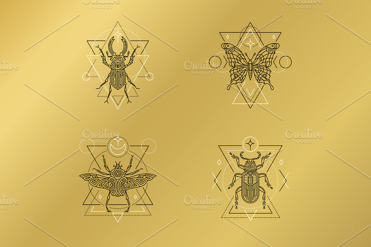 16 Insect symbols and 4 Patterns, an Outline Icon by Anna Smirnova (Photo 4 of 12)