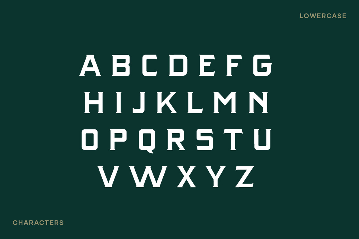 Rattlesnake - Vintage Serif Font, a Serif Font by Creative Type (Photo 7 of 13)
