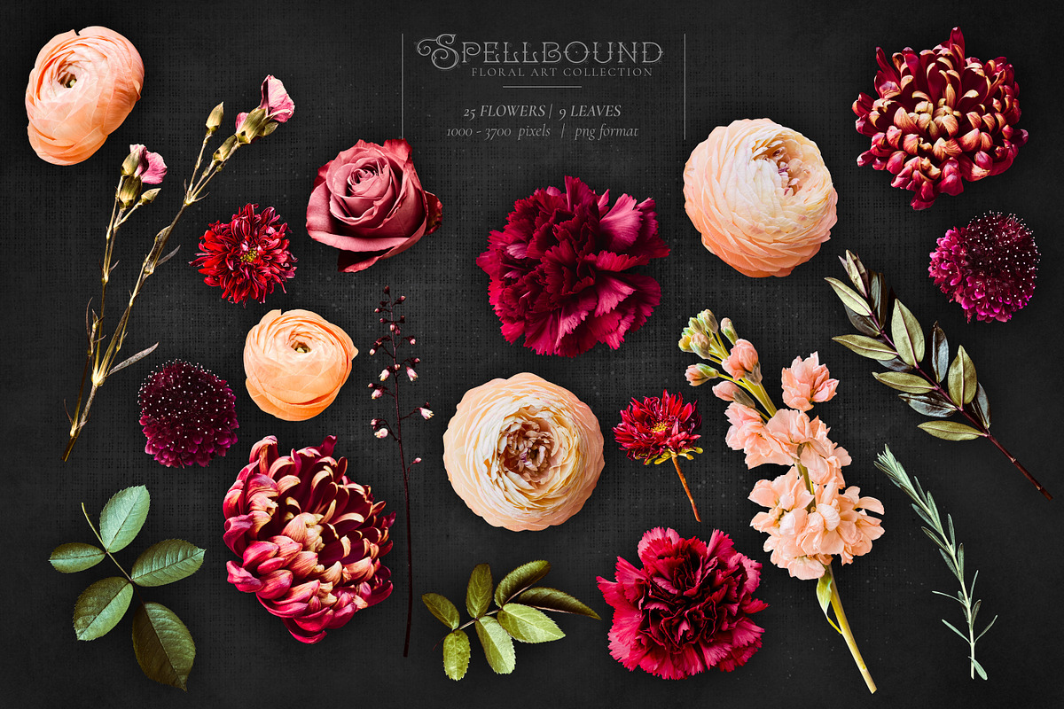 Spellbound Floral Art Collection, an Object Graphic by Eclectic Anthology (Photo 14 of 15)