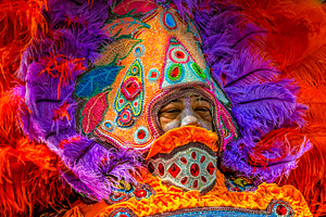 Bright Plumage Mardi Gras Indians