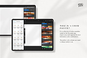 Procreate Color Palette Bundle, a Palette Add-On by Point and Poem (Thumbnail 3 of 9)