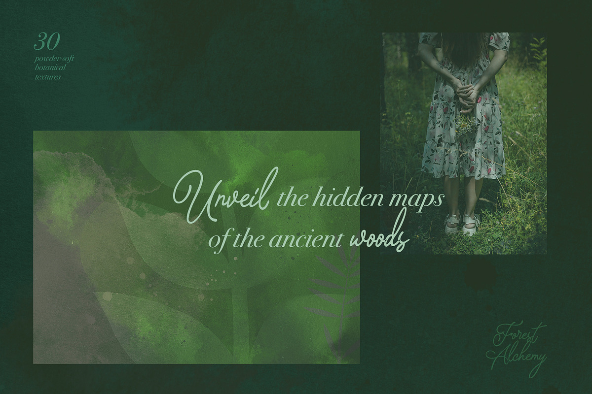 Mystical Botanical Backgrounds, a Background Graphic by Elena Pimonova (Photo 3 of 10)
