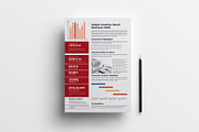 Company Fact Sheet | Word & Indesign, a Flyer Template by obayes (Thumbnail 3 of 4)