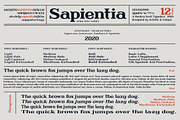 Sapientia - Serif Font Family, a Serif Font by Artistic & Unique (Thumbnail 4 of 12)