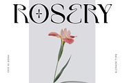 Elonade - Classic Serif Display Font, a Serif Font by Vesvocrea (Thumbnail 8 of 11)