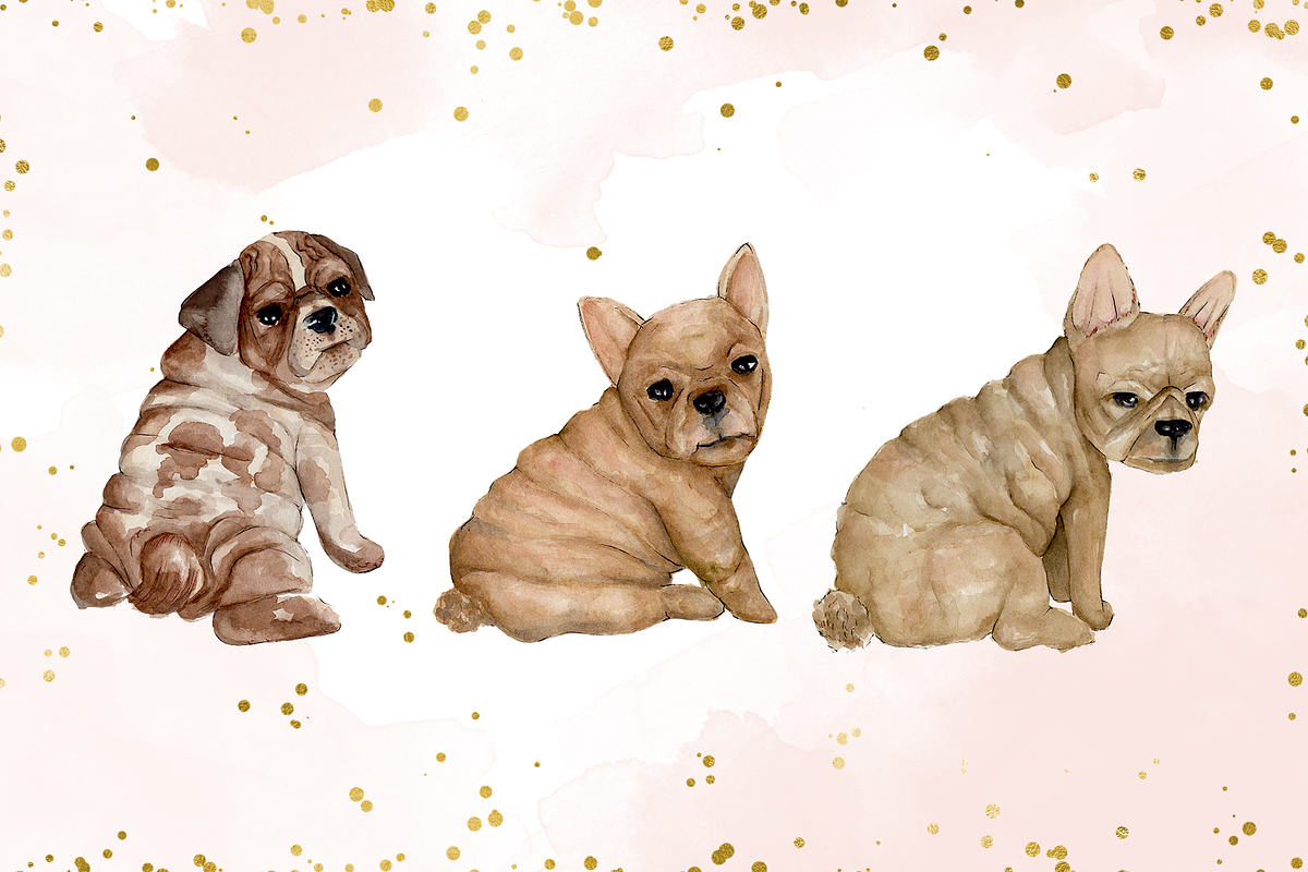 Bulldog Clipart, a Graphic by TigerlilyDesignCo (Photo 2 of 2)
