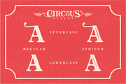 The Circous, a Font by 24Design Studios (Thumbnail 7 of 9)