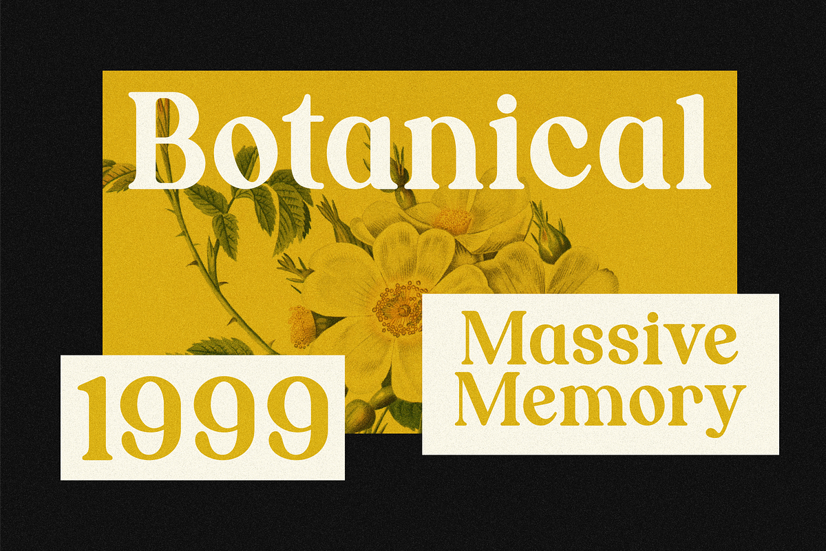 Nordhin - Classic Serif Display Font, a Serif Font by MaikoHatta (Photo 5 of 9)