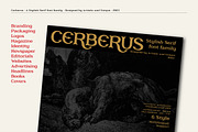 Cerberus - Serif font family, a Serif Font by Artistic & Unique (Thumbnail 12 of 15)