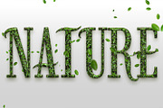 Linden - Elegant Decorative Serif, a Serif Font by OWPictures (Thumbnail 7 of 9)