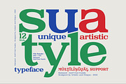 Raimond - Serif font family, a Serif Font by Artistic & Unique (Thumbnail 3 of 15)